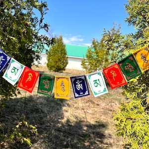 May include: A vibrant string of prayer flags, adorned with Tibetan script, is suspended between green trees under a clear blue sky. The flags are square, featuring colours like blue, green, red, and yellow, each displaying a unique symbol.