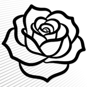Peut inclure: Une illustration en noir et blanc au trait représentant une fleur de rose unique. Le motif présente des contours noirs épais et audacieux formant les pétales de la rose, sur un fond de fines lignes grises diagonales créant un motif rayé subtil.