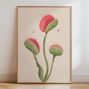 ハエトリソウのプリント、食虫植物ポスター、植物画、水彩画の植物イラスト、緑と赤の自然プリント