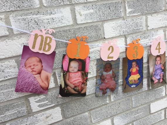 Pumpkin Photo banner, Pumpkin Banner, First Year Photo Banner, Pumpkin 1st birthday, little pumpkin decorations, Pink and gold pumpkin Il_570xn