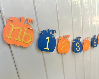 Banner fotográfico de calabaza azul marino y naranja, banner fotográfico de primer cumpleaños, guirnalda de decoraciones de cumpleaños de calabaza, banner fotográfico de pequeña calabaza