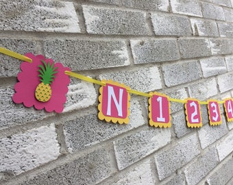 Pineapple Banner, Luau Banner, Luau Photo Banner, Pineapple PhotoBanner, Pineapple First Year Banner, Luau Birthday, Pineapple, 1st Birthday