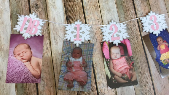 Snowflake Monthly Photo Banner, Snowflake Photo Banner, First Year Photo Banner, Winter Onederland Banner, Snowflake Theme Party, ONE Banner Il_570xn