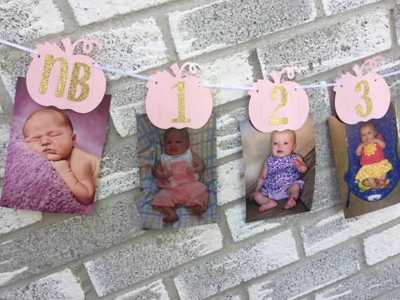 Pumpkin Photo banner, First Year Photo Banner, Pumpkin 1st birthday, little pumpkin, Pink and gold pumpkin, Pumpkin Birthday Party Il_570xn