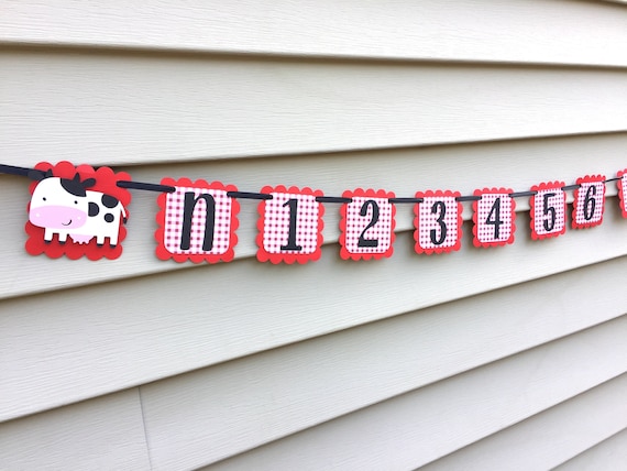 Farm Animal First Year Photo Banner Barnyard Theme Il_570xn