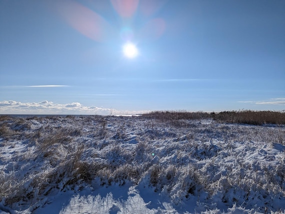 Winter Bay Dunes | Sunrise Photography | Digital Print | Meditation Wall Art