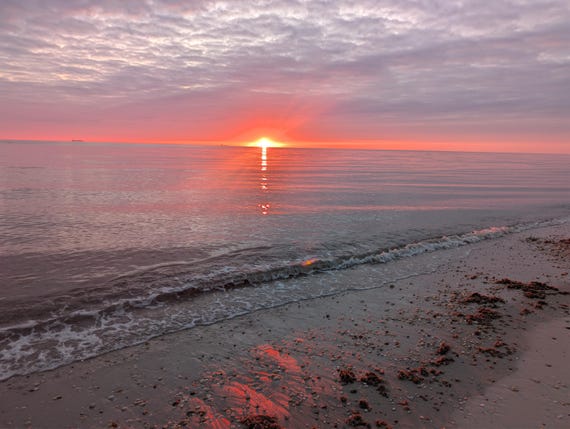 March Morning Stillness | Sunrise Photography | Digital Print | Meditation Wall Art