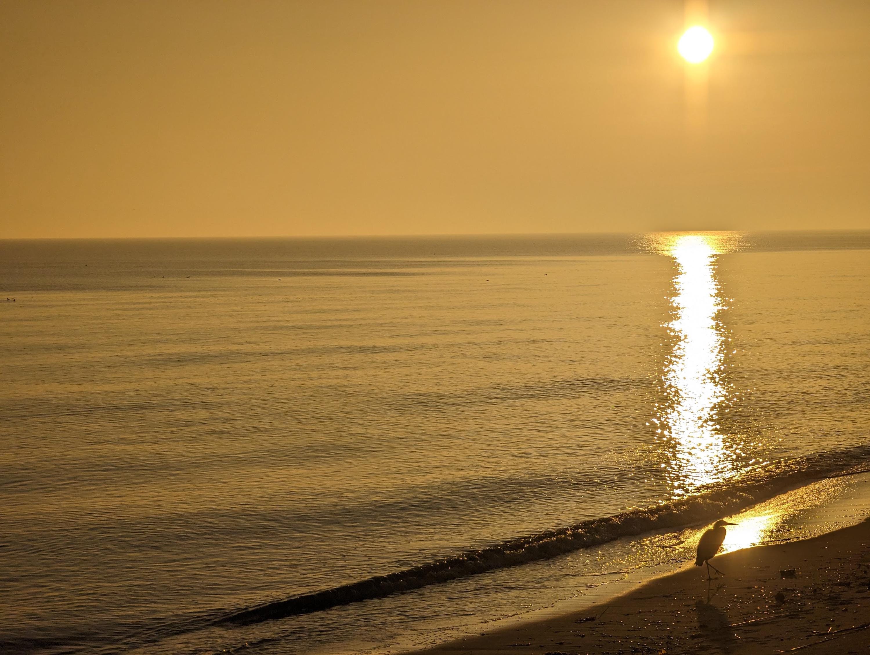 Tidewatcher Heron | Sunrise Photography | Digital Download Print | Meditation Wall Art