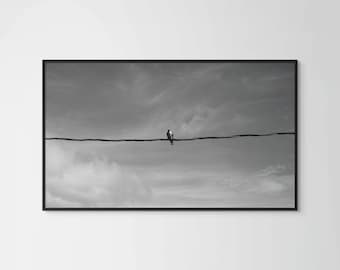 Minimalist Bird Wire Poster, Black and White Nature Photography,  Modern Animal Wall Art, Sky Decor, Digital Download