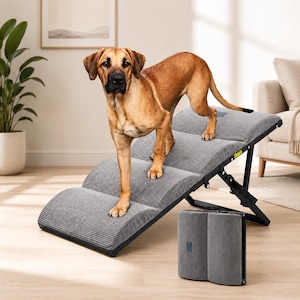 May include: A gray corduroy pet ramp with a foldable design and black metal frame. The ramp features a textured surface for traction and is shown in an extended position with a dog standing on it, and a folded position placed on the floor.