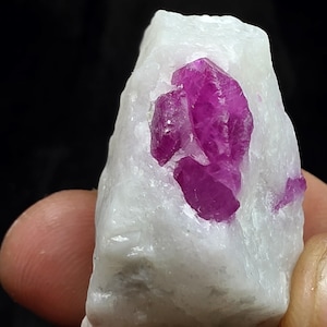 Puede incluir: Un espécimen mineral en bruto que presenta un cristal prominente de color magenta intenso incrustado en una matriz blanca opaca y rugosa. La estructura cristalina muestra facetas angulares afiladas y una calidad translúcida.