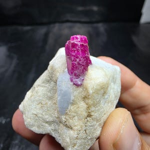 May include: A raw mineral specimen featuring a vibrant, deep pinkish-red hexagonal crystal protruding from a rough, off-white and light gray matrix stone. The central crystal displays a translucent, faceted texture with natural vertical striations.