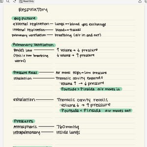 May include: A handwritten study guide on respiratory system concepts. The title "Respiratory" is at the top, with subtopics like "Big Picture," "Pulmonary Ventilation," and "Pressure Rules." Key terms and definitions are listed with arrows and bullet points, using black ink and highlighted with green.