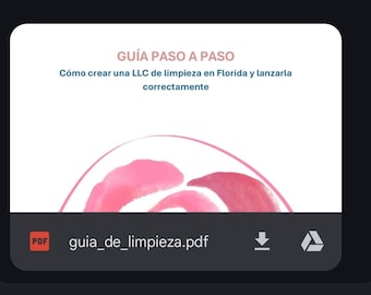 Guia De Limpieza Paso a Paso