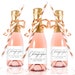 see more listings in the Mini Champagne Labels  section