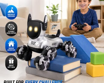 Rechargeable Robot Dog Remote Control Stunt Toy with Music Action Show Birthday Gift