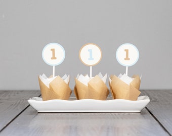 Cupcake Toppers for a Baby Boy 1st Birthday - Beary 1st Birthday - Customize number and colors!