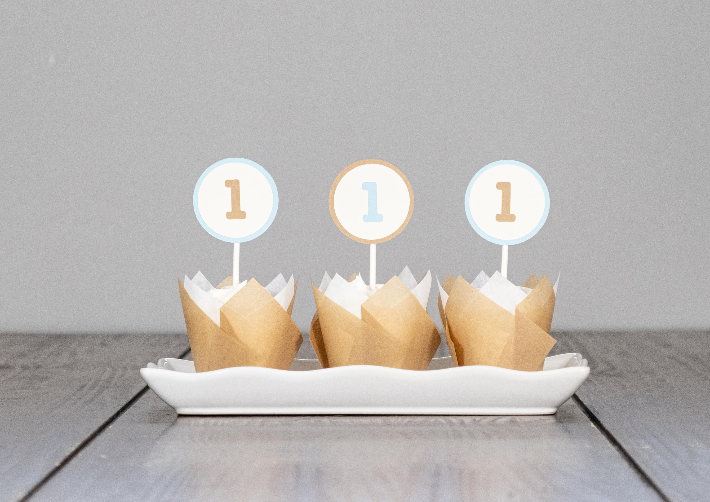 Cupcake Toppers for a Baby Boy 1st Birthday - Beary 1st Birthday - Customize number and colors!