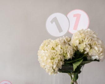 1st Birthday Party Centerpiece, Set of 8 Sticks, Customize your colors!
