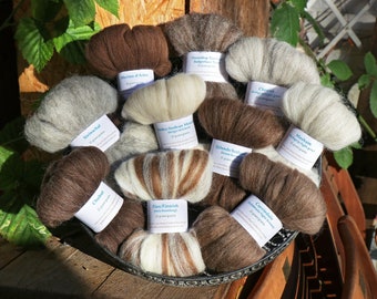 Sheep breed sampler Natural Colours IV - sample pack with 10 types of wool to try, combed top for spinning or felting, fiber samples