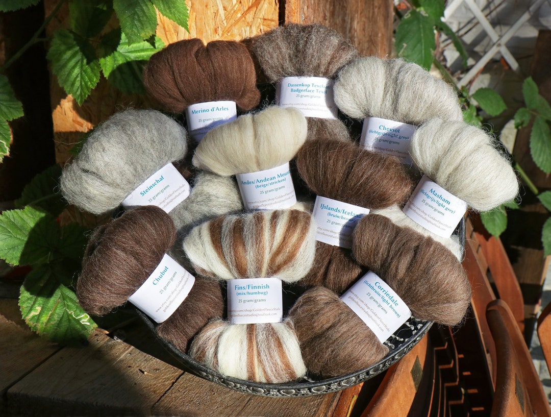 Sheep Samples Sheep Breed Sampler Natural Colours IV Sample Pack With 10 Types of ...