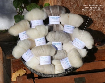 Sheep breed sampler E - sample pack with 10 types of wool to try, combed top for spinning or felting, fibre samples, breed study
