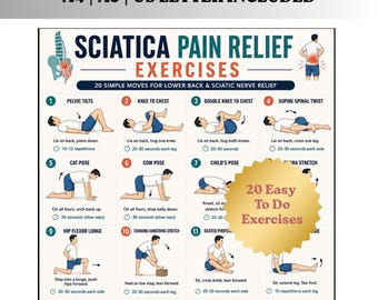 Sciatica Pain Relief Exercises Printable PDF | Lower Back Stretch Chart | Sciatic Nerve Flossing Guide | Physical Therapy Poster Download