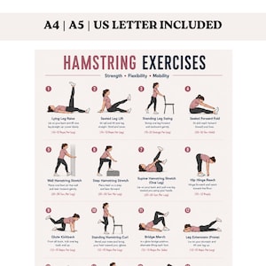 Può includere: Un poster didattico intitolato Hamstring Exercises con dodici illustrazioni numerate di una persona con maglietta rosa e leggings neri che esegue vari esercizi di stretching. Il testo include A4 | A5 | US LETTER INCLUDED e Strength • Flexibility • Mobility.