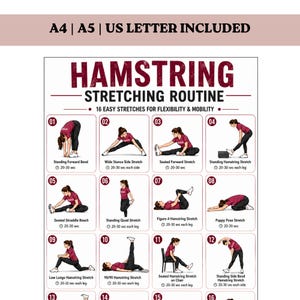Può includere: Un poster informativo bianco intitolato Hamstring Stretching Routine con 16 illustrazioni numerate di una persona con maglietta bordeaux e leggings neri che esegue vari esercizi di stretching. Testo: A4 | A5 | US LETTER INCLUDED.