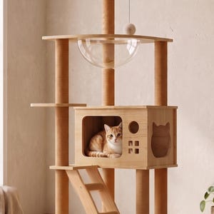 Modern Cat Tree Multi-Level Cat Tower with Clear Observation Dome, Ladder, and Hideaway Box Stylish Vertical Activity Center for Indoor Cats