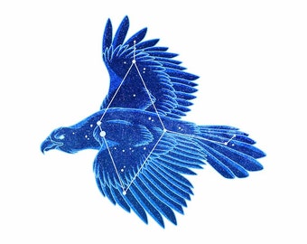 Constellation: Aquila the Eagle Vinyl Sticker 4 inch