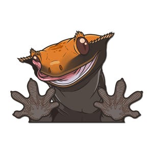 Crested Gecko Peeker Vinyl Decal 5 inch Halloween