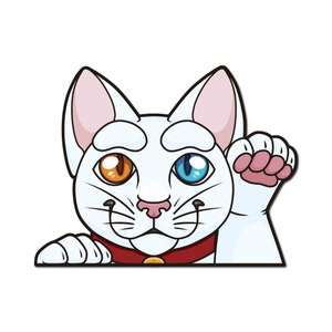 May include: A white cat with one orange eye and one blue eye peeks over a surface with its paw raised. The cat is wearing a red collar with a gold charm.