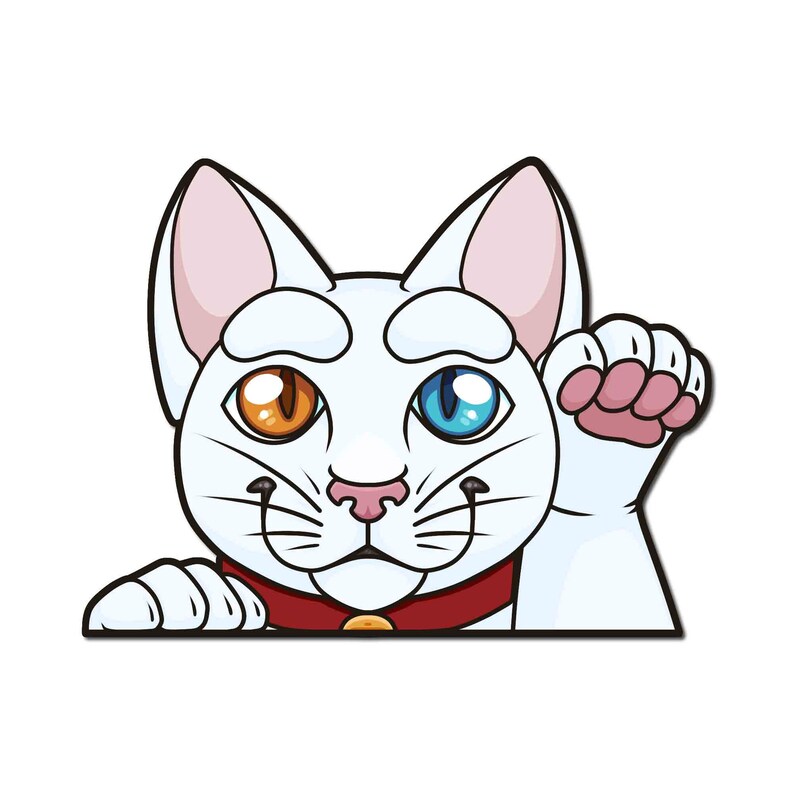 May include: A white cat with one orange eye and one blue eye peeks over a surface with its paw raised. The cat is wearing a red collar with a gold charm.