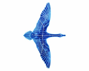 Constellation: Cygnus the Swan Vinyl Sticker 4 inch