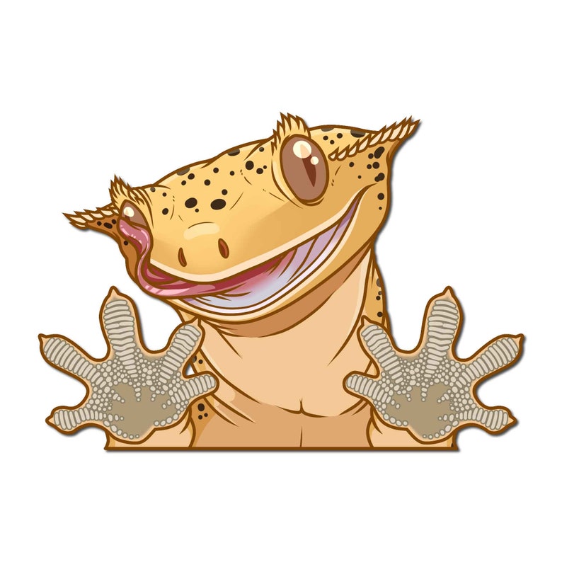 May include: A cartoon gecko with a yellow body, black spots, and a big smile, peeking over a surface with its front paws outstretched.