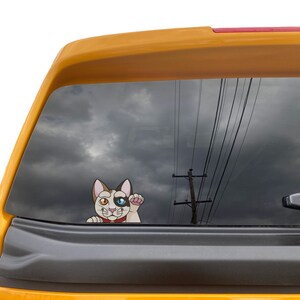 May include: A white, black, and orange cat with one blue eye and one brown eye peeks out of a car window. The cat is wearing a red collar with a gold bell. The car window is tinted and reflects a cloudy sky and power lines.