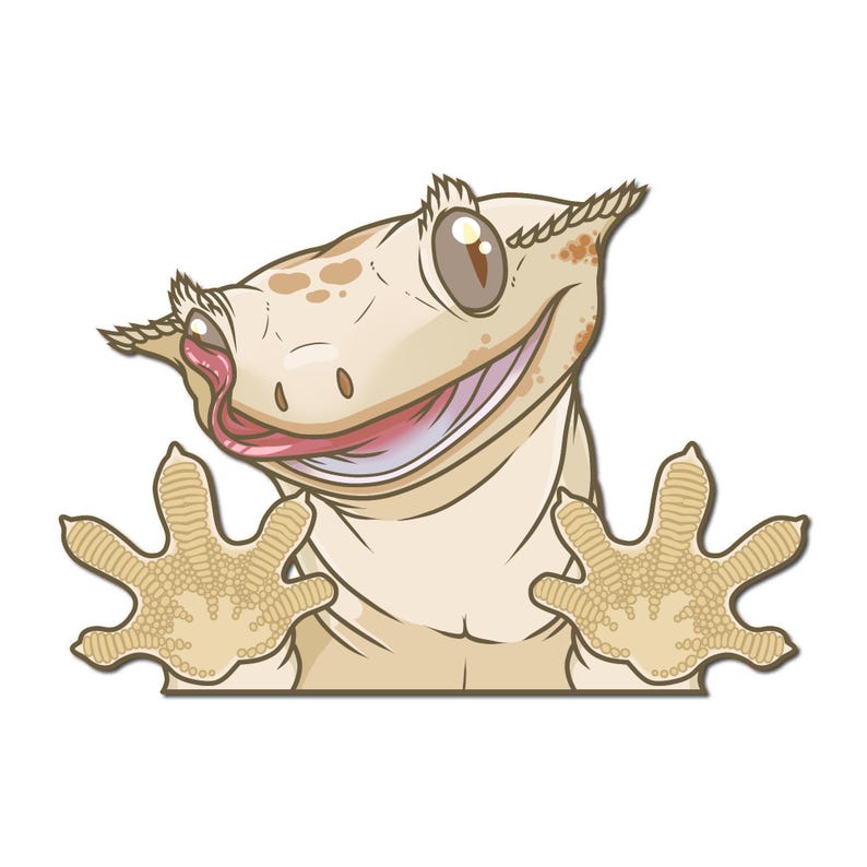Crested Gecko Peeker Vinyl Decal 5 inch Lilly White