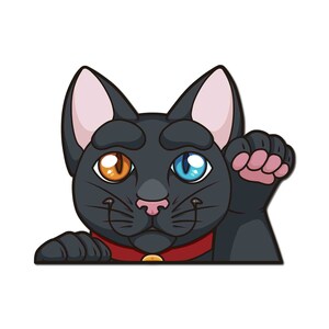May include: A black cat with one blue eye and one orange eye peeks over a red collar. The cat is looking to the right and has its right paw raised.