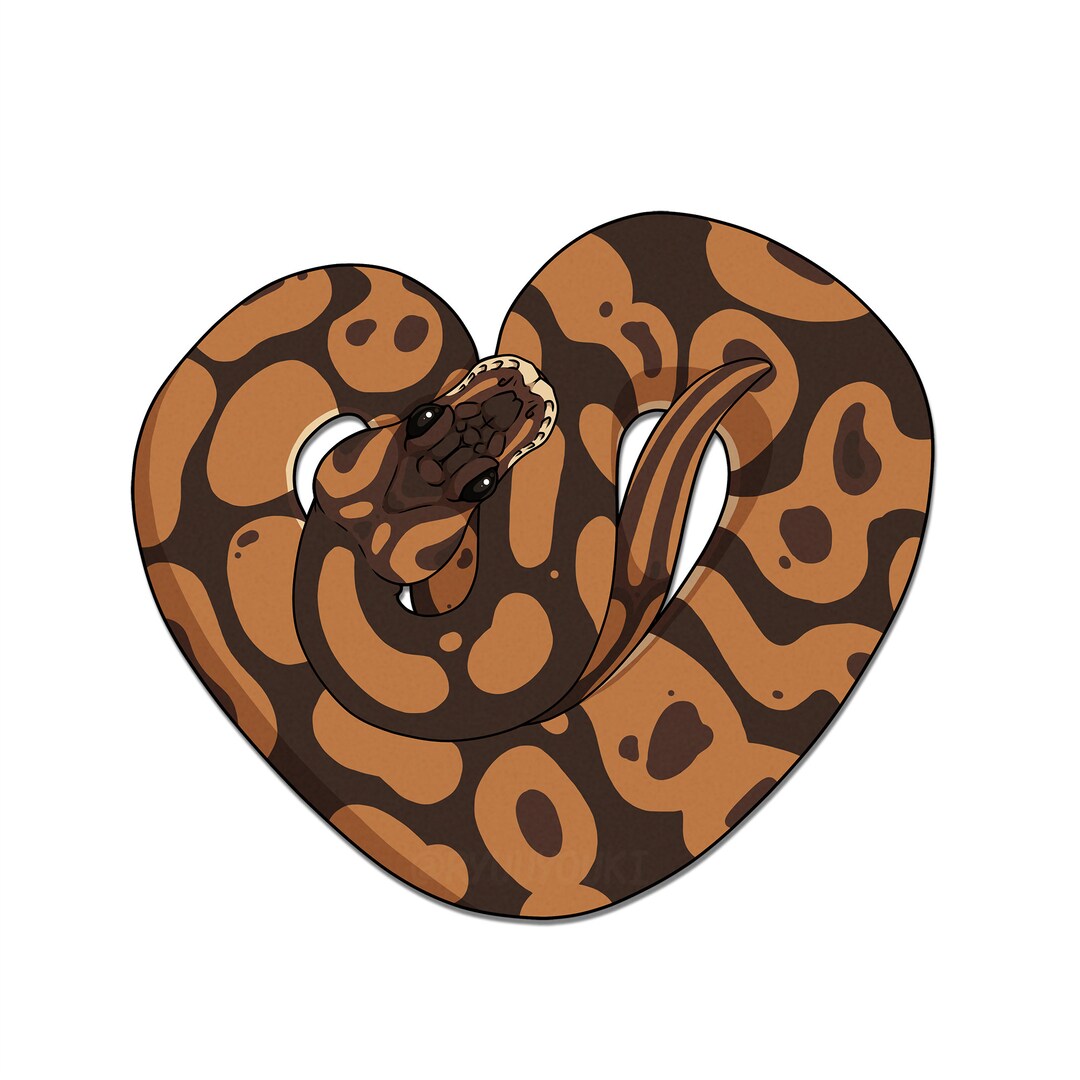 Ball Python Heart Decal - Etsy