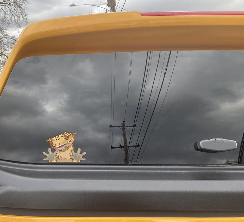 Crested Gecko Peeker Vinyl Decal 5 inch image 12