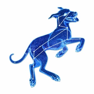 Constellation: Canis Major the Dog Vinyl Sticker 4 inch