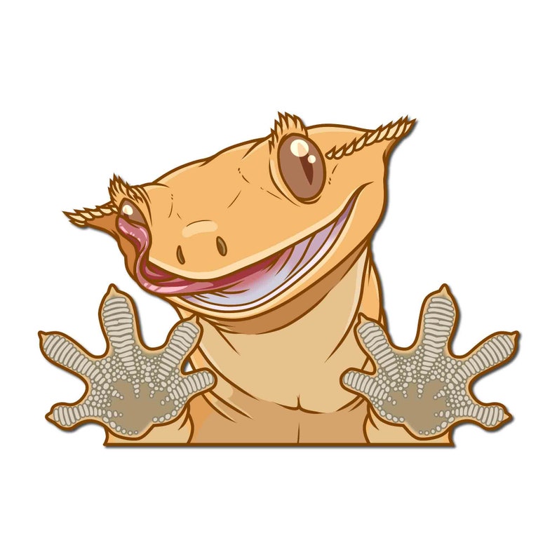 May include: A cartoon illustration of a smiling gecko with a light orange body, brown eyes, and a pink tongue sticking out. The gecko has large, brown, webbed feet with white spots.