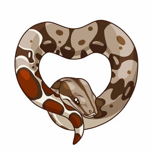 Red Tail Boa Heart Decal 4 inch