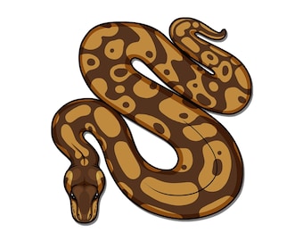 Ball Python Decal Spiral Snake Sticker Snake Decal Serpent - Etsy