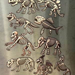 May include: A collection of ten individual magnets featuring cream-coloured skeletal illustrations of various creatures, including a triceratops, stegosaurus, theropod, fish, primate, mammoth, sabre-toothed cat, dragon, and a unicorn on a metallic surface.