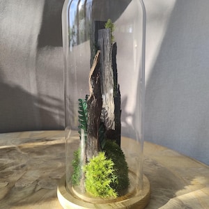 Glass Dome Terrarium – Vertical Forest Sculpture – Moss & Wood Composition – Minimalist Nature Design – Handmade Object