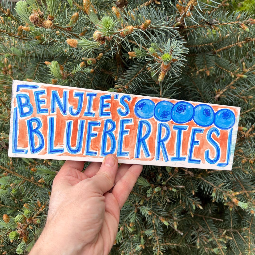 Hand Painted Custom Wood Sign: Personalized Rustic Decor - Etsy