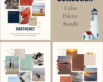 Pacchetto palette di colori Oceanview Collection / 3 palette di branding per Canva / Kit di branding per attività legate agli animali domestici / Download digitale