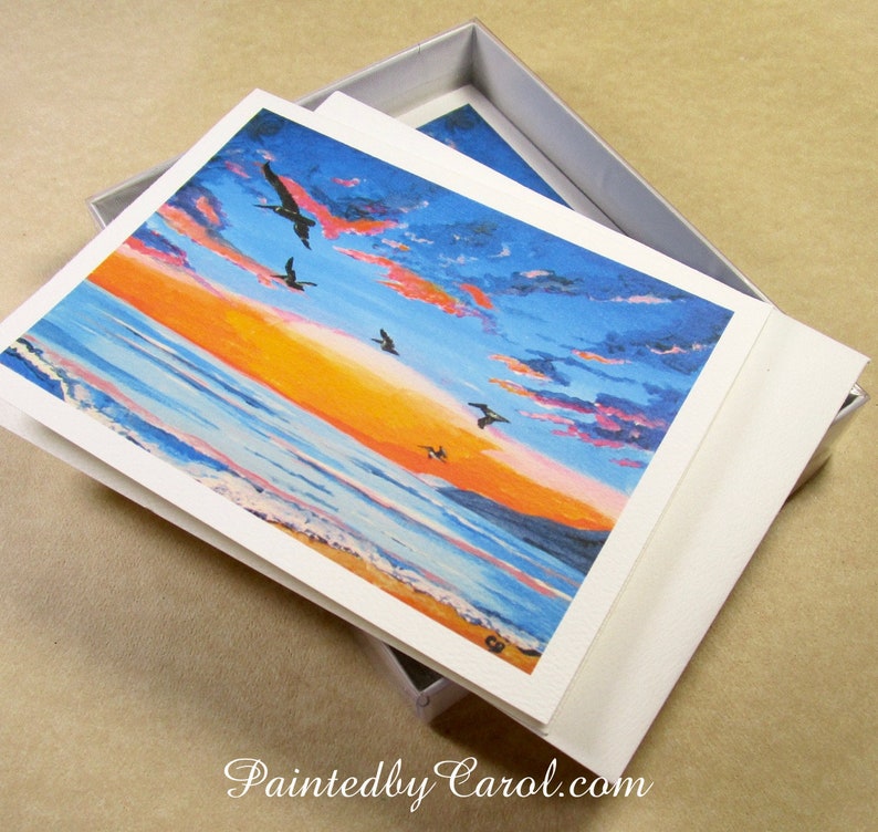 Pelican Note Cards, Blank Pelican Note Card Set, Pelican Greeting Cards, Note Cards with Pelican, Pelican Blank Cards, Set of Cards image 8